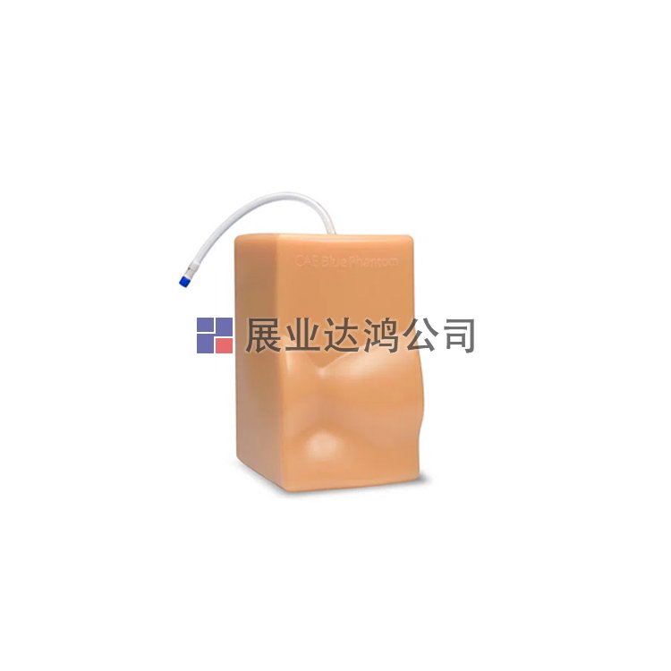 <b>CAE BPH700心臟超聲訓練模塊-展業達鴻代理</b>
